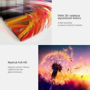 Obraz na szkle akrylowym - Tęczowa mapa - obrazek 3