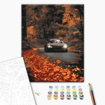 Obraz do samodzielnego malowania - Jesienna droga przez las