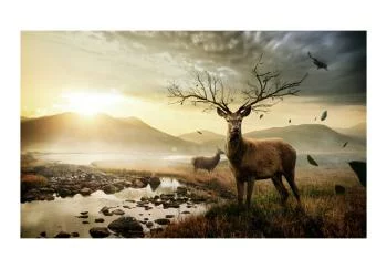 Fototapeta - Jelenie nad górskim potokiem - obrazek 2