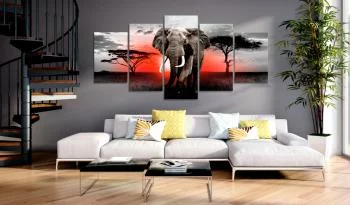 Obraz - Samotny słoń - obrazek 2