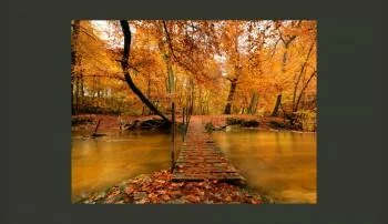 Fototapeta - Drewniany mostek w lesie - obrazek 2