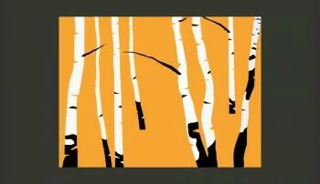 Fototapeta - Birches on the orange background - obrazek 2