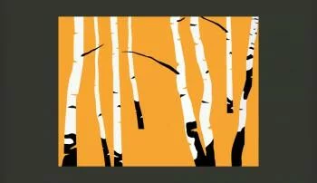 Fototapeta - Birches on the orange background