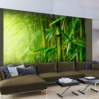 Fototapeta Zielony bambus w Dżungli