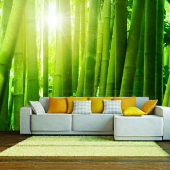 Fototapeta Słońce i Zielony Bambus