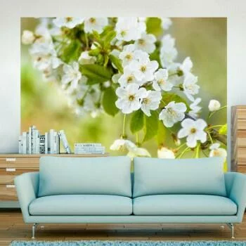 Fototapeta  Delikatna białe kwiaty
