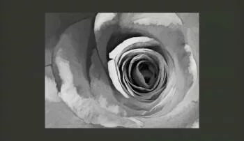 Fototapeta Róża z papieru