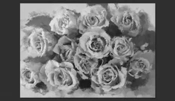 Fototapeta z kwiatami Róże rozmyte wodą
