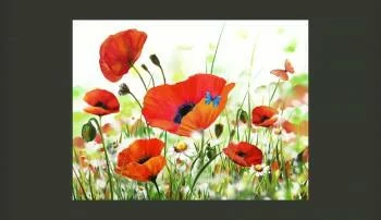 Fototapeta - Country poppies - obrazek 2