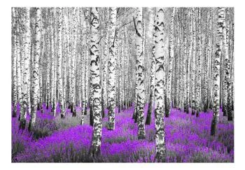 Fototapeta - Purpurowy azyl - obrazek 2
