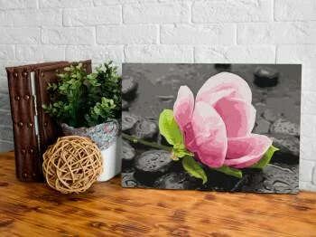 Obraz do samodzielnego malowania - Różowy kwiat i kamienie