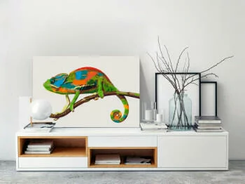 Obraz do samodzielnego malowania - Kameleon