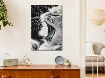 Obraz do samodzielnego malowania - Ziewający kotek