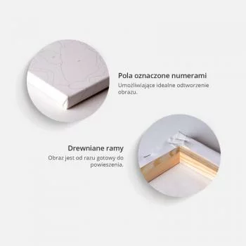 Obraz do samodzielnego malowania - Złota głowa - obrazek 4