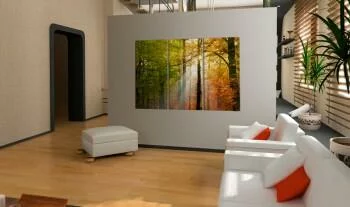 Obraz - Spokojny jesienny las  - obrazek 2