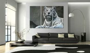 Obraz - Biały tygrys  - obrazek 2