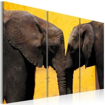 Obraz - Całus pary słoni