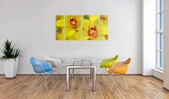 Obraz - Orchids - intensity of yellow color