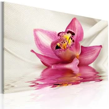 Obraz - Unusual orchid