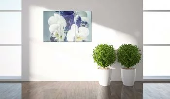 Obraz - Chimeryczne orchidee