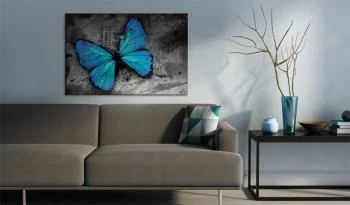 Obraz - Studium motyla