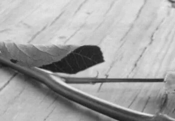 Obraz - Róża na deskach - obrazek 4