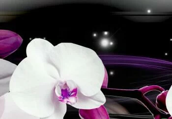 Obraz - Orchidee na czarnym tle - obrazek 3