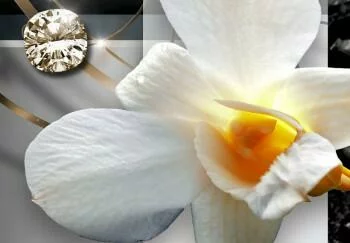 Obraz - Słoneczne orchidee - obrazek 4