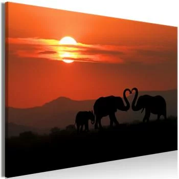 Obraz - Zakochane słonie (1-częściowy) szeroki