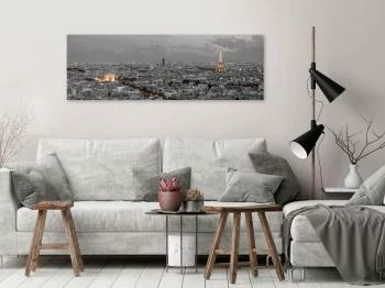 Obraz - Panorama Paryża (1-częściowy) wąski