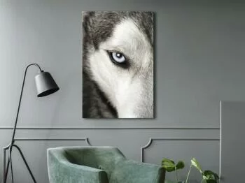 Obraz - Psie spojrzenie (1-częściowy) pionowy