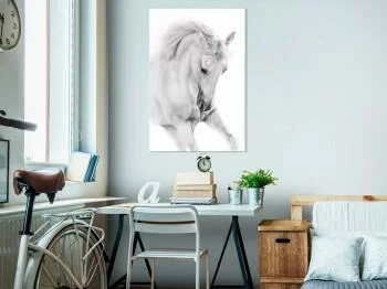 Obraz - Biały koń (1-częściowy) pionowy - obrazek 2