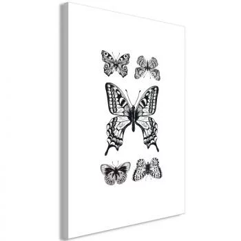 Obraz - Pięć motyli (1-częściowy) pionowy