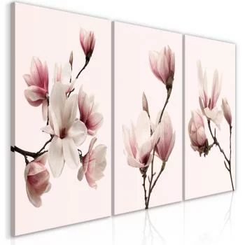 Obraz - Wiosenne magnolie (3-częściowy)
