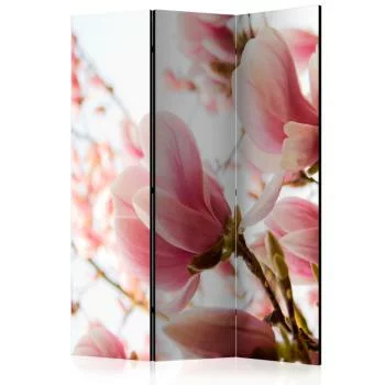 Parawan - Różowa magnolia