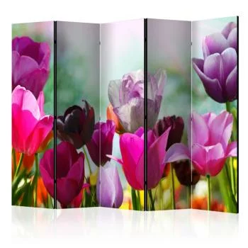 Parawan - Piękne tulipany II