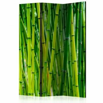 Parawan 3-częściowy - Bambusowy las [Parawan]