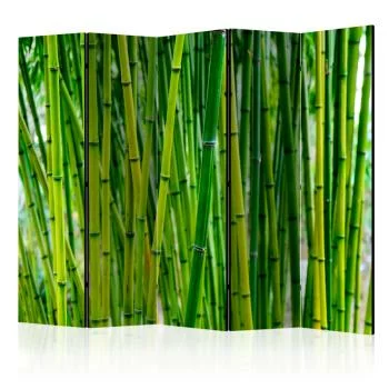 Parawan - Bambusowy las II