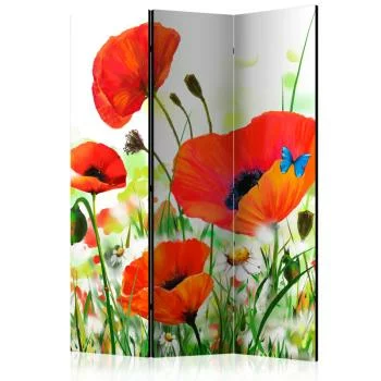 Parawan 3-częściowy - Country poppies