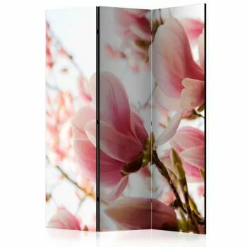 Parawan 3-częściowy - Różowa magnolia