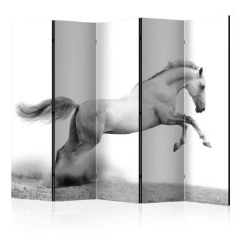 Parawan 5-częściowy - White gallop II