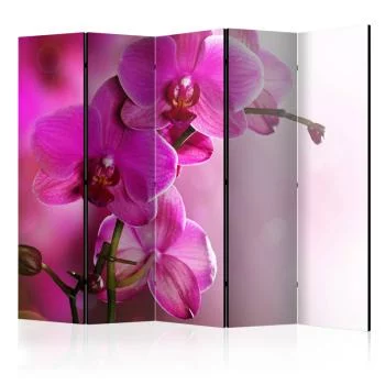 Parawan - Różowa orchidea II