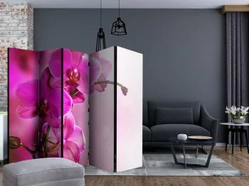Parawan - Różowa orchidea II - obrazek 2