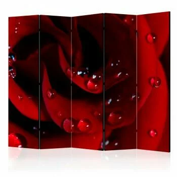 Parawan 5-częściowy - Czerwona róża i krople rosy II
