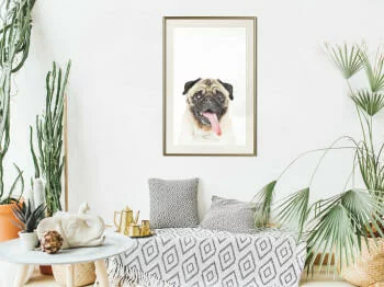 Plakat - Śmieszny mops - obrazek 2
