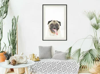 Plakat - Śmieszny mops - obrazek 2