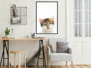 Plakat - Śmieszny kotek - obrazek 2