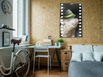 Plakat - Przebrana świnka