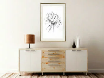 Plakat - Szkic lilii