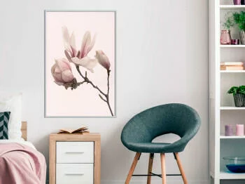Plakat - Kwitnące magnolie II